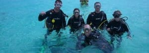Scuba Diving Training