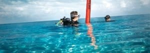Scuba Diving Course