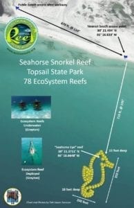 Seahorse Snorkel Reef Topsail State Park